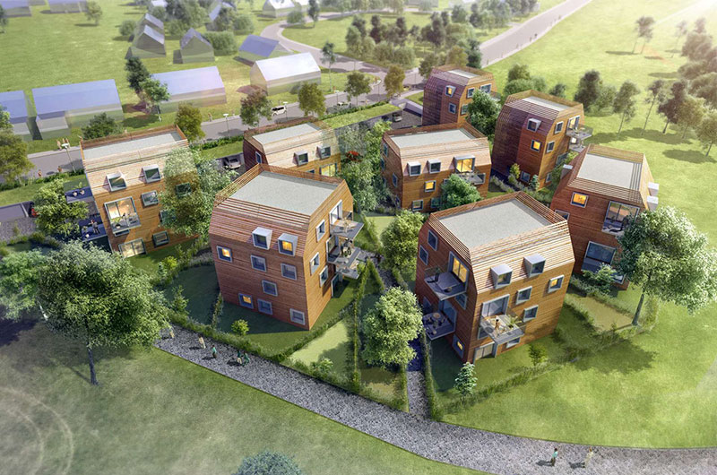 beautiful homes in a tree